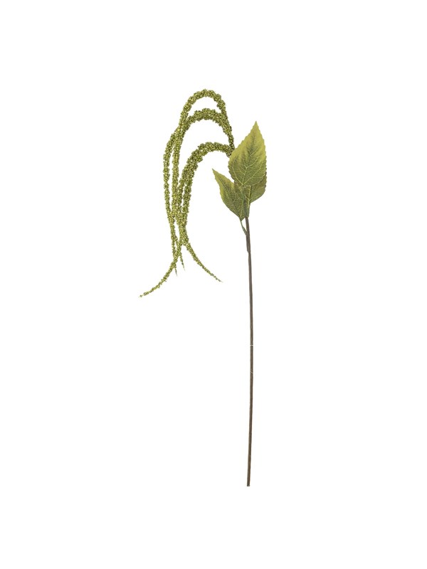 Bloomingville Foxtail billede