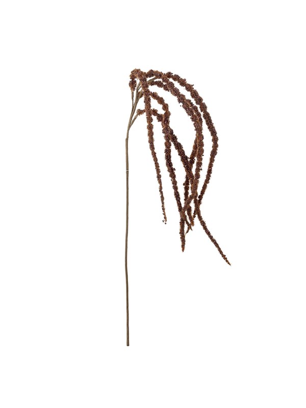 Bloomingville Foxtail billede