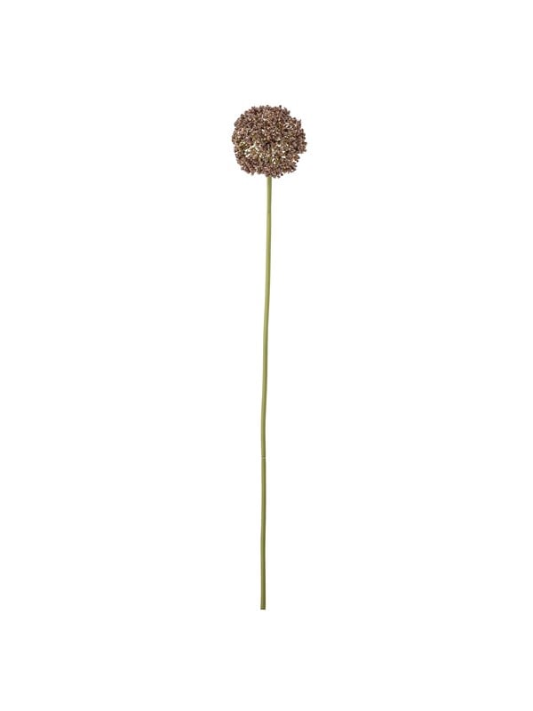 Bloomingville Allium billede