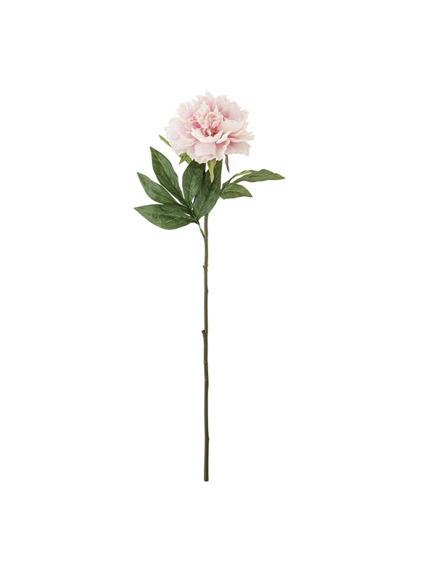 Bloomingville Peony billede