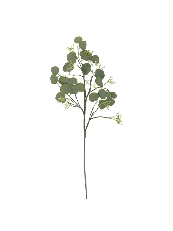 Bloomingville Eucalyptus billede