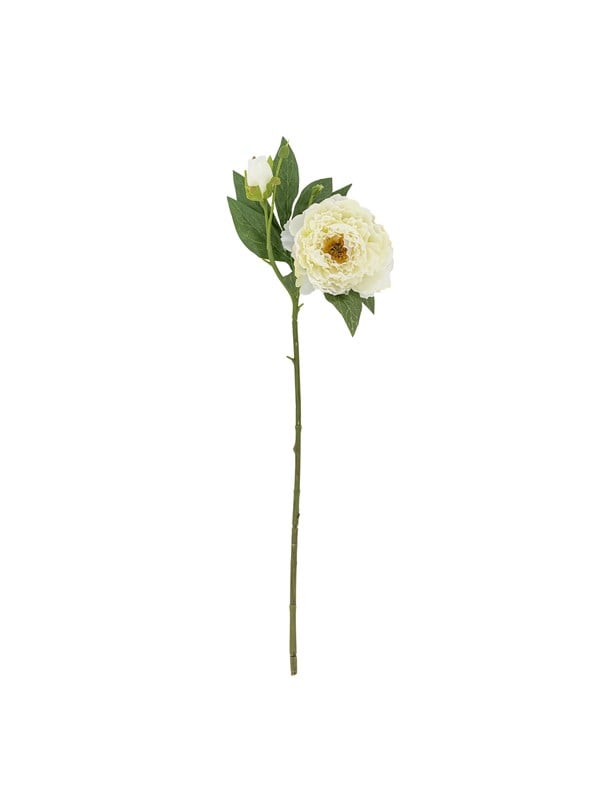 Bloomingville Peony billede