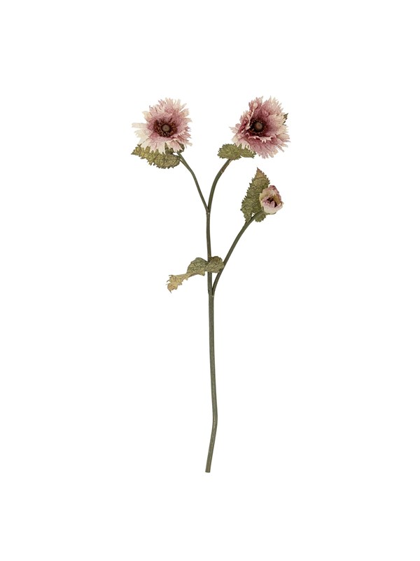 Bloomingville Chrysantemum