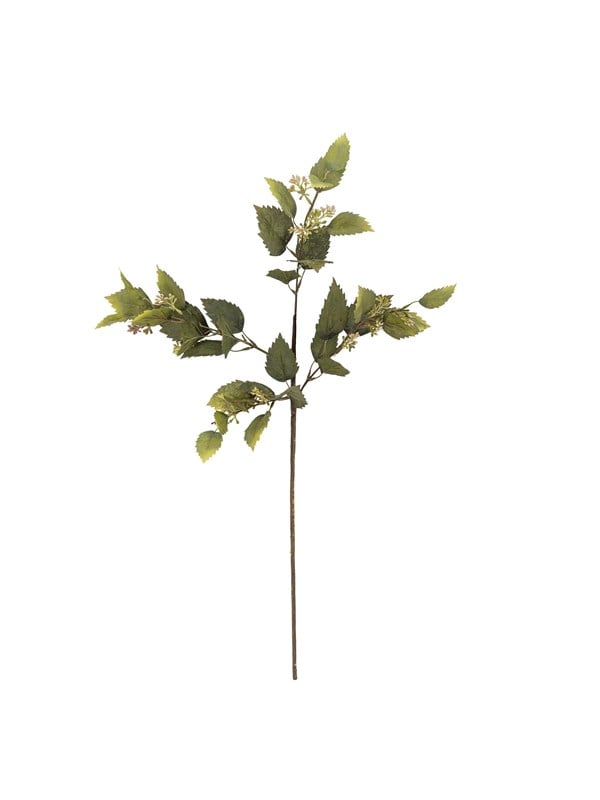 Bloomingville Eucalyptus billede