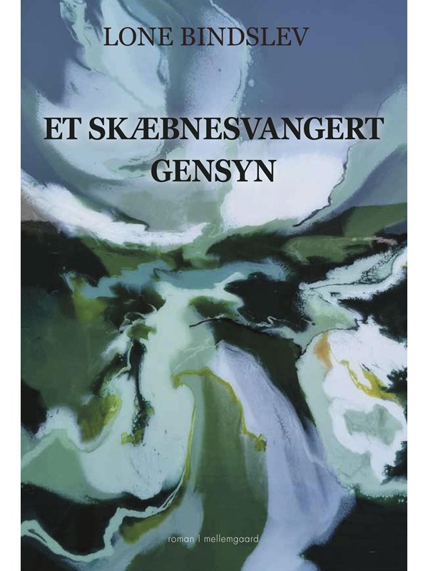 Et skæbnesvangert gensyn - Skønlitteratur & Fiktion - Hæftet