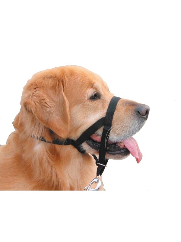 Snudesele med line - Black - 3: mellemstore hunde