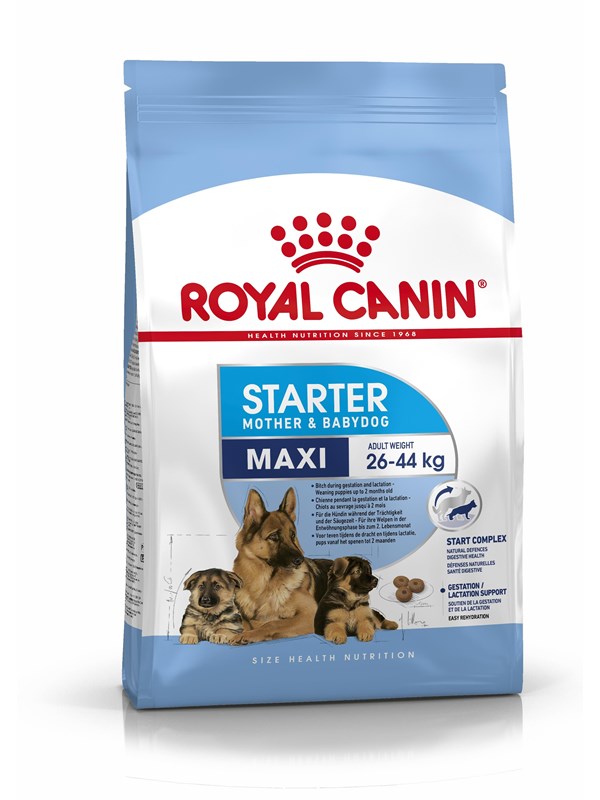 Royal Canin Maxi Starter Mother & Babydog