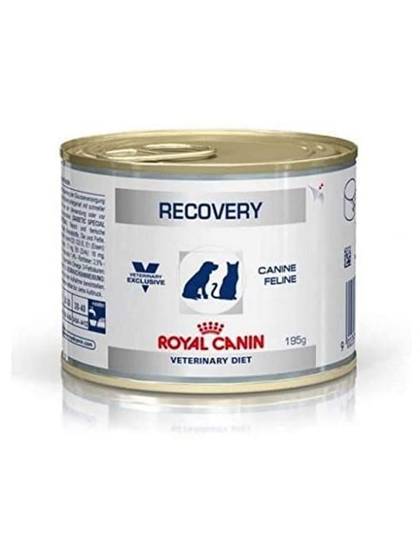 Royal VET CANINE RECOVERY Box of 12 x 195 g