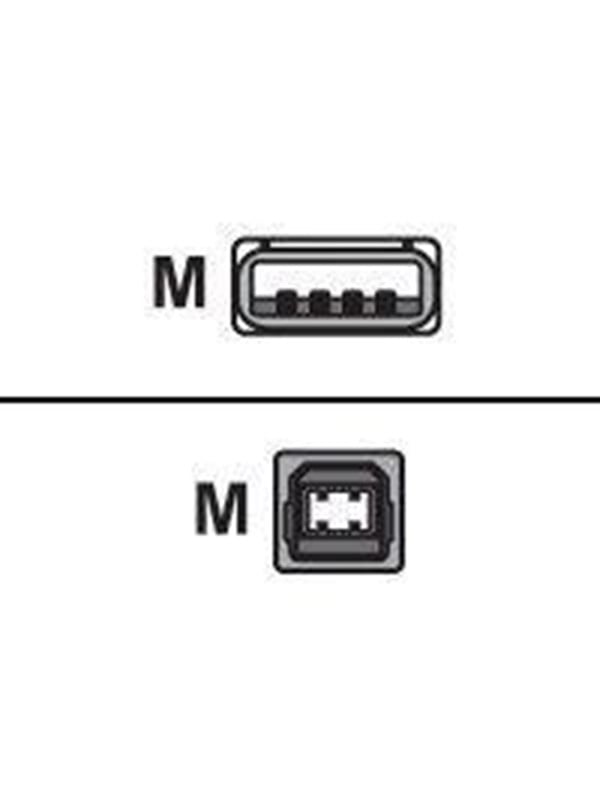 Digi - USB cable - USB to USB Type B - 2 m
