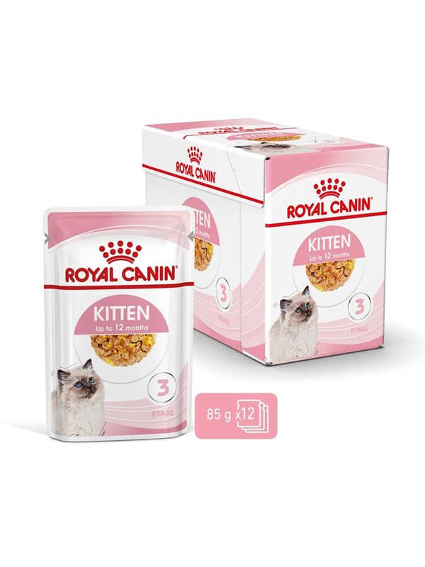 Royal Canin FHN Kitten Instinctive in jelly - wet food for kittens - 12x85g