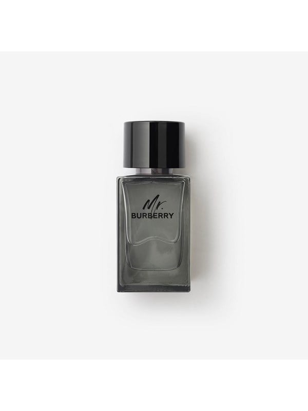 Burberry Mr. Burberry Eau de Toilette - 100 ml