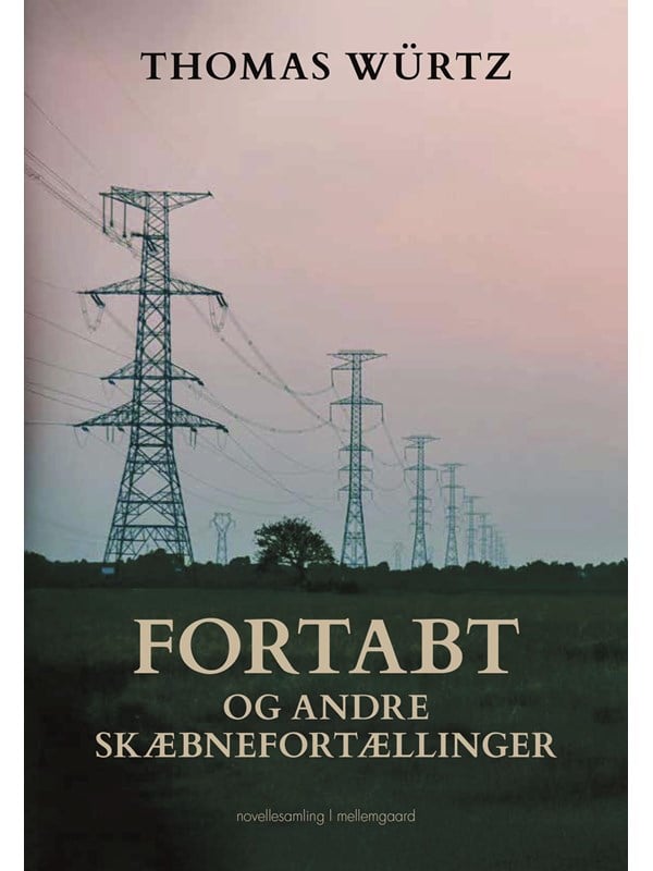 Fortabt og andre skæbnefortællinger - Skønlitteratur & Fiktion - Hæftet