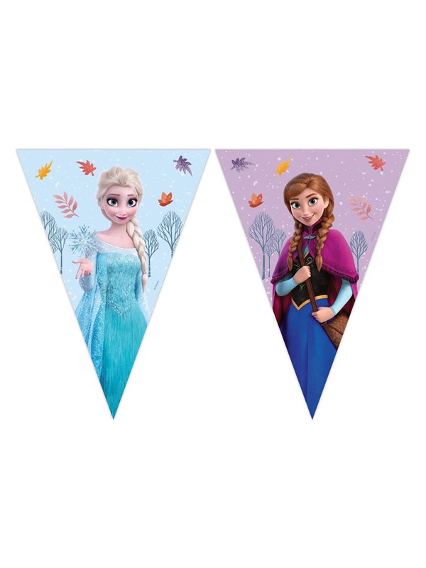 Globos Paper Bunting Frozen Idyllic Wonder