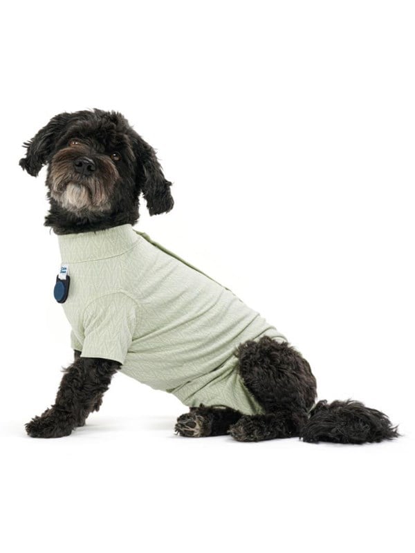 KRUUSE BUSTER Body Suit Step'n Go for Dogs - XL - Dusty Green - Bamboo Recovery Suit