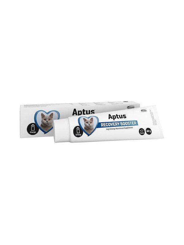 Aptus Recovery Booster Cat - High-Energy Nutritional Paste - 60g