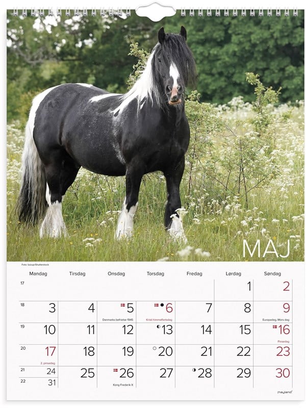 Mayland Vægkalender Heste 2027