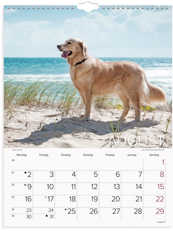 Vægkalender, Mayland Photo, Hund, 295 x394mm år: 2027, Flerfarvet