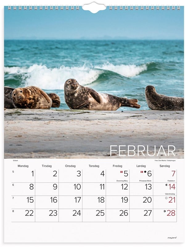 Vægkalender, Mayland Photo, VERDENS DYR 295x385mm år: 2027, Flerfarvet
