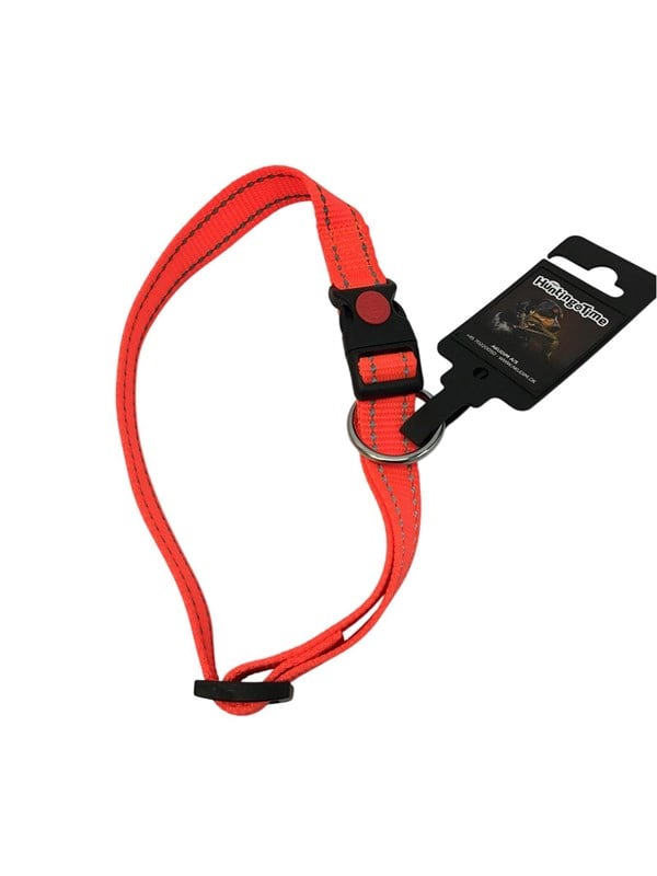 Hunting Time HuntingTime halsbånd nylon orange 10mm/20-35 cm