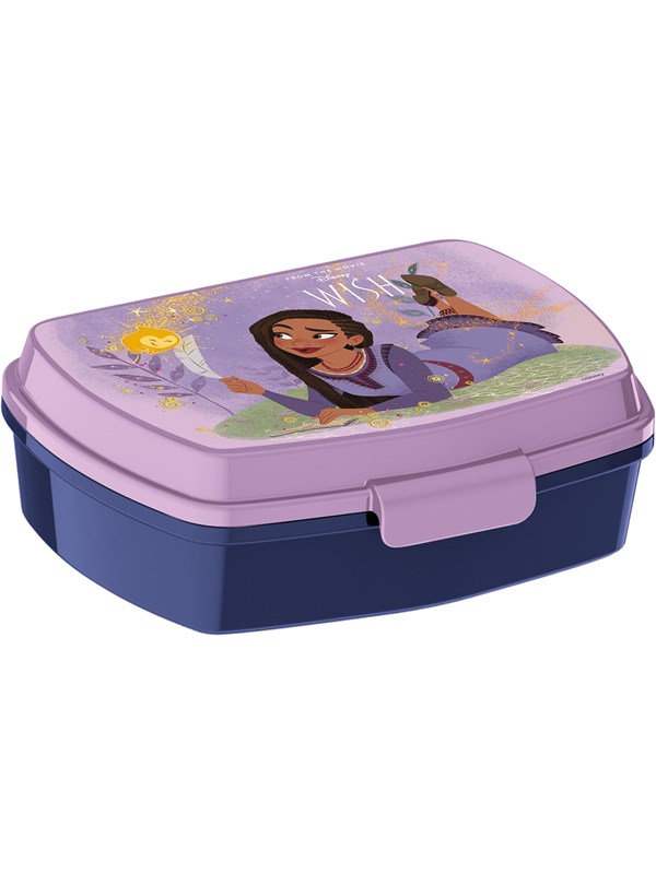 Disney WISH Funny sandwich box