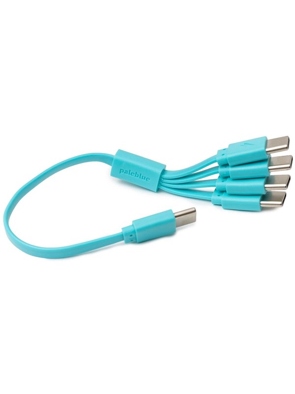paleblue Pale Blue Cable USB-C to USB-C 4 charging ports 1
