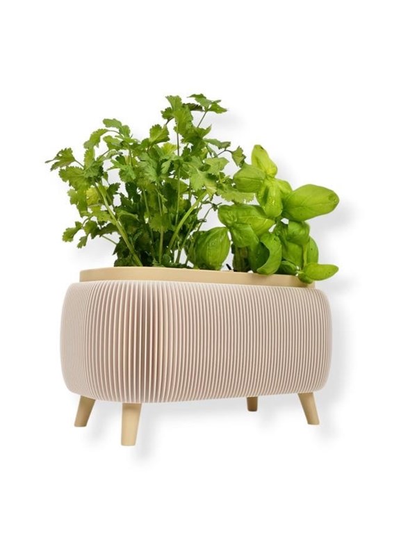 Simiu - Thalor Herbs - krydderi urtepotte - Stor
