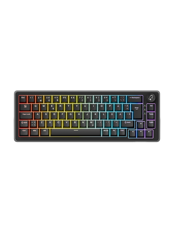 Ducky OK-HE 65% - Gaming Tastatur - Uden Numpad - Nordisk - Sort