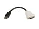 Skærmkabel - StarTech.com DisplayPort to DVI Video Converter - DP2DVI