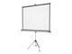 1902397W