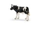 Schleich - Schleich Holstein Kalv - 4005086137981