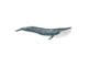 Schleich - Schleich blåhval - 14806