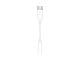 Mobil - Andet Tilbehør - Apple USB-C til 3,5 mm jack‑mellemstik til hovedtelefoner - MW2Q3ZM/A