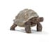 Schleich - Schleich Kæmpeskildpadde - 14824
