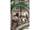 Ungdomsbøger - Harry Potter 7 - Harry Potter og Dødsregalierne - Ungdomsbog - Hæftet - 9788702272420