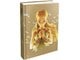 Spil tilbehør - Piggyback The Legend of Zelda: Breath of the Wild - The Complete Official Guide (Expanded Edition) - Bøger - 9781911015499