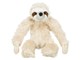 TX35670