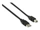 CCGB60100BK20