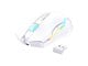 CW905W Wireless