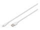 AK-600108-010-W
