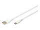 AK-300340-020-W