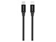 C21CC2M04