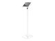 150W11PAPX4W