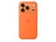 Mobil - Covers & Cases - Apple iPhone 17 Pro Silicone Case with MagSafe – Orange - MGFE4ZM/A