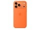 Mobil - Covers & Cases - Apple iPhone 17 Pro Max Silicone Case with MagSafe – Orange - MGFL4ZM/A