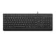 Tastatur - Lenovo Essential - keyboard - QWERTY - US English - black Input Device - Tastatur - Amerikansk engelsk - Sort - 4Y41R64633