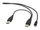 CCP-USB22-AM5P-3