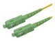 SCSC-05-SAA