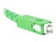 FO-SASA-SS31-0025-WH