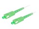 FO-SASA-SS21-0050-WH