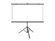 BW-VS12 100-inch